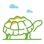 Transparent Tortoise Walking Icon