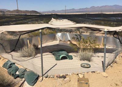 Octagonal Fenced Off Animal Habitat Covered By Tarp In The Las Vegas Desert
