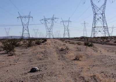 Large Telephone Lines In Mojave Desert